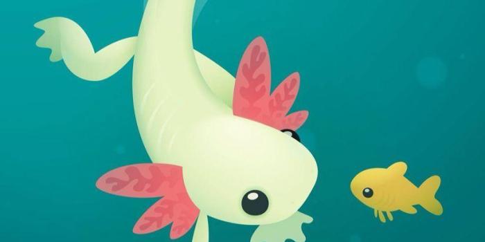 824x1136 Cute Axolotl Wallpapers