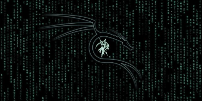 2560x1024 2560x1024 Kali Linux Matrix 2560x1024 Resolution Wallpaper, HD Hi-Tech 4K  Wallpapers, Images, Photos and Background - Wallpapers Den