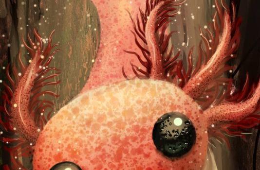 534x1496 Axolotl Wallpapers | Drawings, Art, Axolotl