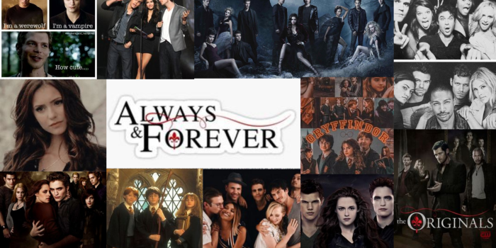 1920x1080 Wallpaper | Vampire diaries wallpaper, Vampire diaries poster, Wallpaper  notebook