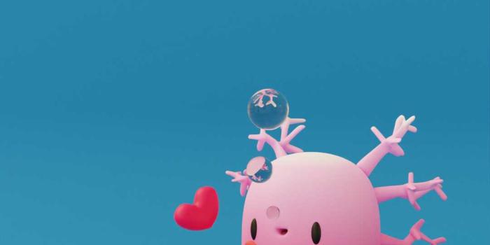 1080x1920 4K Axolotl Wallpaper | WhatsPaper