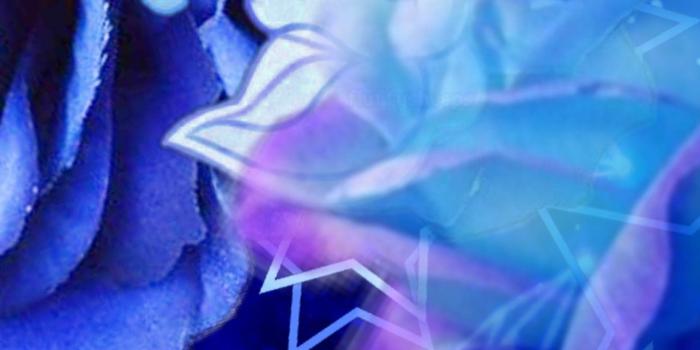 1284x2778 axolotl iPhone Wallpapers Free Download