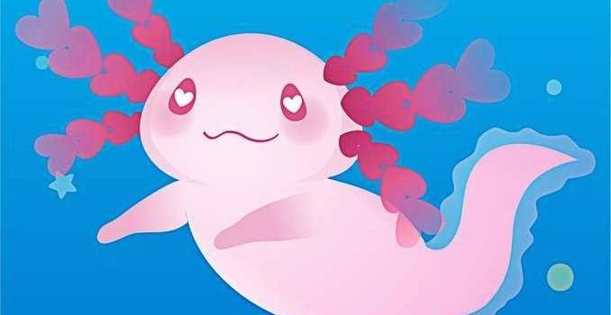 678x1200 Axolotl Wallpaper | Animal wallpaper, Wallpaper, Aesthetic wallpapers