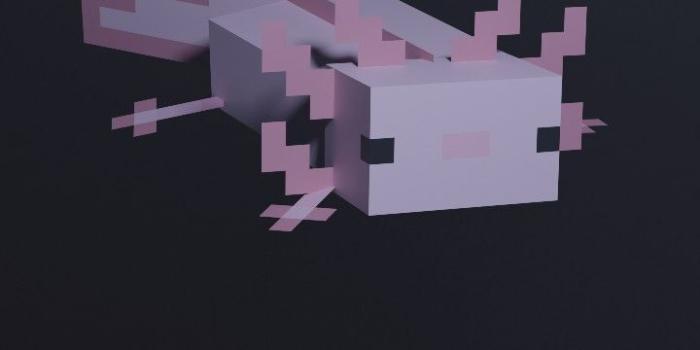 720x1560 Minecraft Axolotl Wallpapers