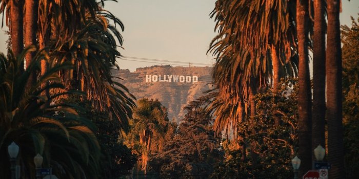 1000x1500 Los Angeles Wallpaper Pictures | Download Free Images on Unsplash