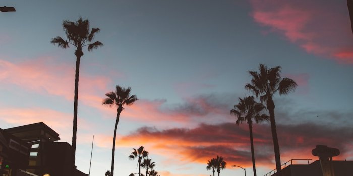 1000x1500 Los Angeles Sunset Pictures | Download Free Images on Unsplash