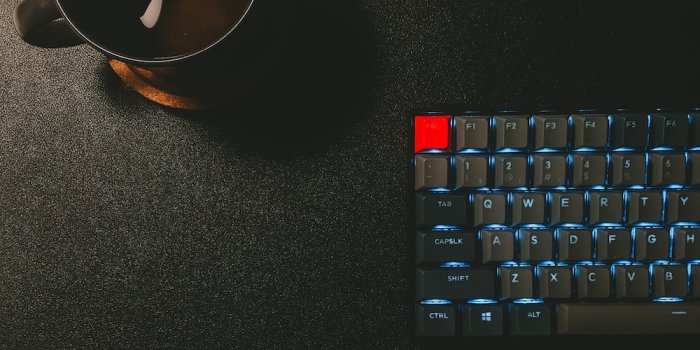 1000x1000 100+ Developer Pictures | Download Free Images on Unsplash