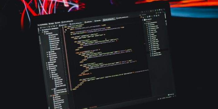 1000x1250 100+ Developer Pictures | Download Free Images on Unsplash