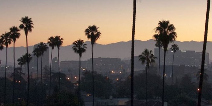 736x1309 iPhone Los Angeles High Resolution Wallpapers