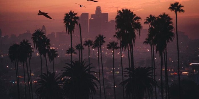 1080x1350 Los Angeles Sunset Wallpapers - Top Free Los Angeles Sunset Backgrounds -  WallpaperAccess
