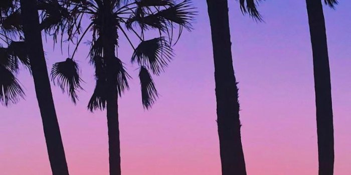 828x1792 LA sunset : r/iphonexwallpapers