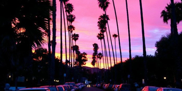 1060x1884 La Wallpapers & Background Beautiful Best Available For Download La Photos  Free On Zicxa.com Images