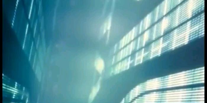 1080x2224 Live wallpaper(s) from 2049 : r/bladerunner