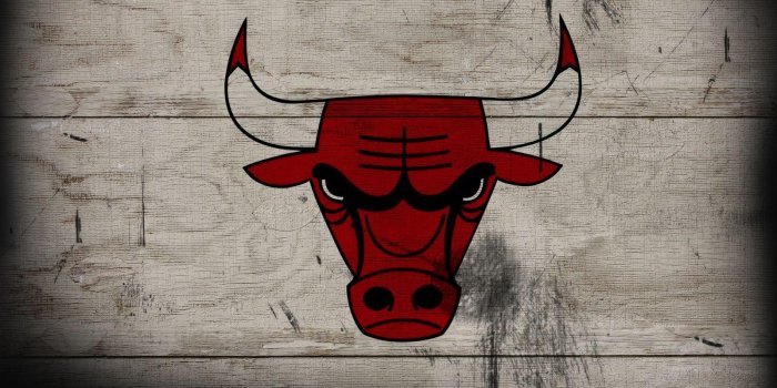 1600x1200 Bull Wallpapers HD