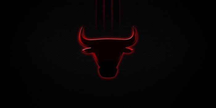 1600x1200 Bulls Wallpapers HD
