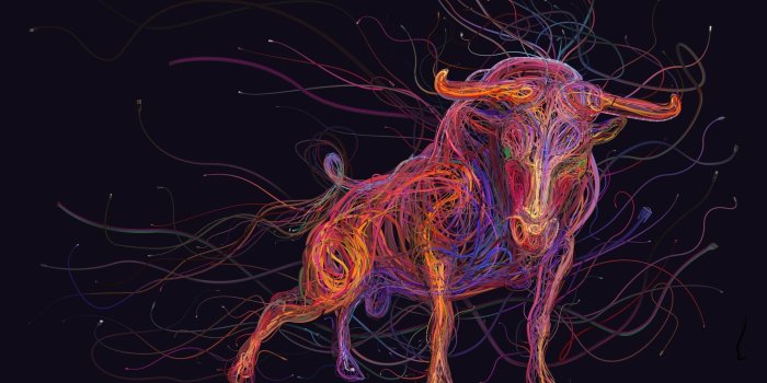 1920x1200 4K Bull Wallpapers | Background Images