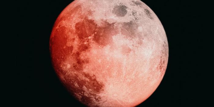 1000x1000 350+ Red Moon Pictures [HQ] | Download Free Images on Unsplash