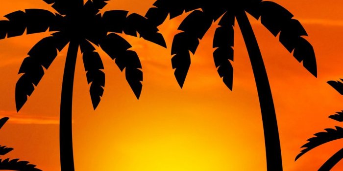 938x1668 Download wallpaper 938x1668 meditation, yoga, silhouette, palm trees,  harmony iphone 8/7/6s/6 for parallax hd background