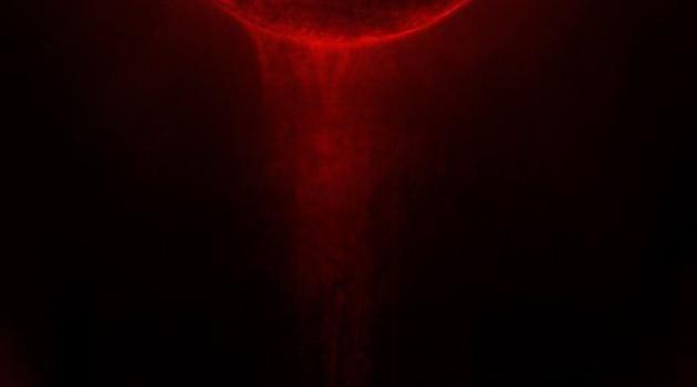 630x1280 Blood moon wallpaper by societys2cent - Download on ZEDGE™ | 6272