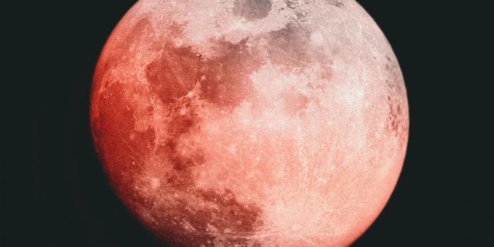 1000x1778 350+ Red Moon Pictures [HQ] | Download Free Images on Unsplash