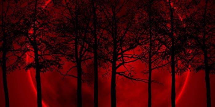 1600x1200 Download Red Wallpaper