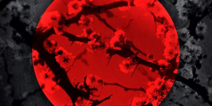 900x1600 Red Moon IPhone Wallpaper - IPhone Wallpapers : iPhone Wallpapers