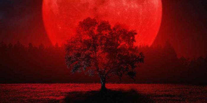900x1600 Blood Red Moon IPhone Wallpaper - IPhone Wallpapers : iPhone Wallpapers