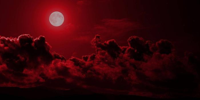 1920x1080 Download Neon Red Blood Moon Wallpaper | Wallpapers.com