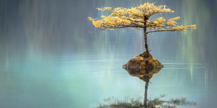 1000x800 Meditation Landscape Pictures | Download Free Images on Unsplash