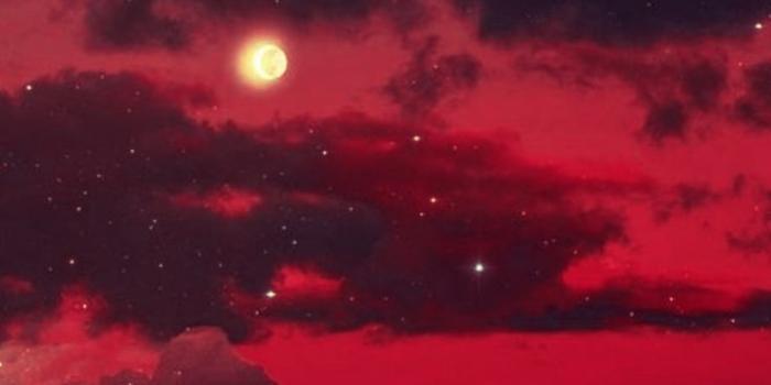 736x1471 Red sky moon wallpaper in 2022 | Anime scenery wallpaper, Dark wallpaper  iphone, Iphone… in 2022 | Pretty wallpapers backgrounds, Pretty wallpapers,  Anime scenery wallpaper