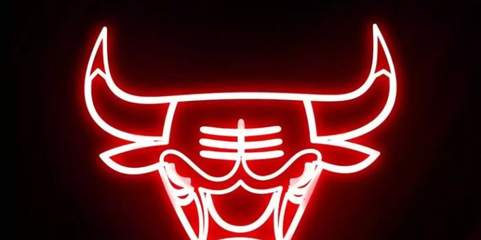 736x1614 Chicago Bulls Wallpaper Browse Chicago Bulls Wallpaper with collections of  Black, Chicago Bulls, Cool, G… | Chicago bulls wallpaper, Bulls wallpaper,  Neon wallpaper