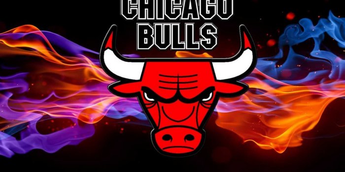 1920x1080 Desktop Bulls Wallpaper | WhatsPaper