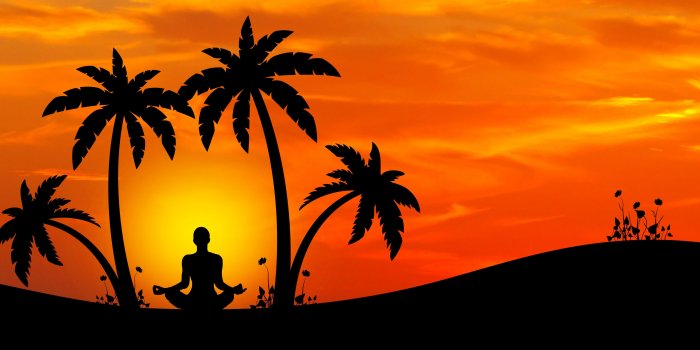 3840x2400 Download wallpaper 3840x2400 meditation, yoga, silhouette, palm trees,  harmony 4k ultra hd 16:10 hd background