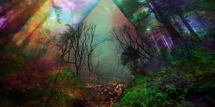 2333x1458 Psychedelic Forest Wallpapers - Top Free Psychedelic Forest Backgrounds -  WallpaperAccess