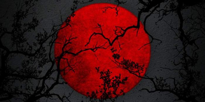 900x1600 Red Moon Night IPhone Wallpaper - IPhone Wallpapers : iPhone Wallpapers