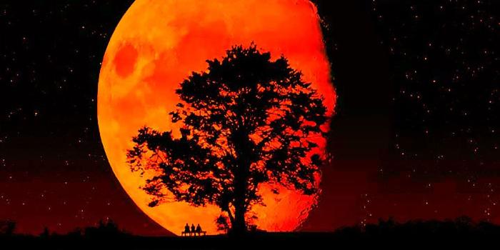 1600x1200 Blood Moon Wallpapers • TrumpWallpapers