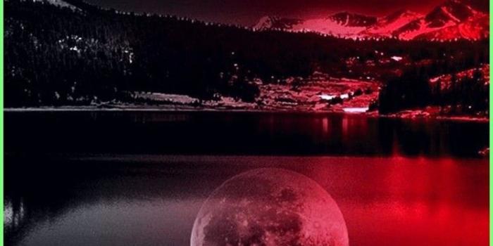746x1319 Red Moon Iphone Wallpapers & Background Beautiful Best Available For  Download Red Moon Iphone Photos Free On Zicxa.com Images