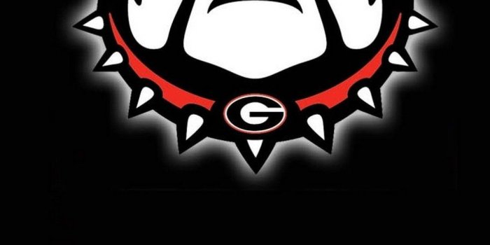 1080x1920 Georgia Bulldogs Wallpapers - Top Free Georgia Bulldogs Backgrounds -  WallpaperAccess