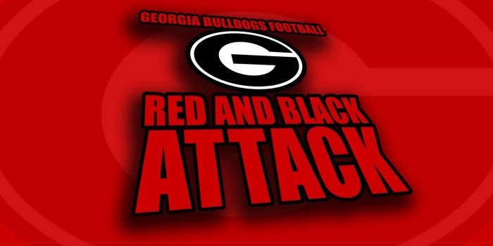 1920x1200 Download Georgia Bulldogs Football Wallpaper | Wallpapers.com