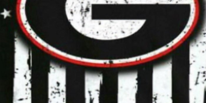 1080x1920 Georgia bulldog wallpapers in 2022 | Bulldog wallpaper, Georgia bulldogs  football, Georgia bulldogs