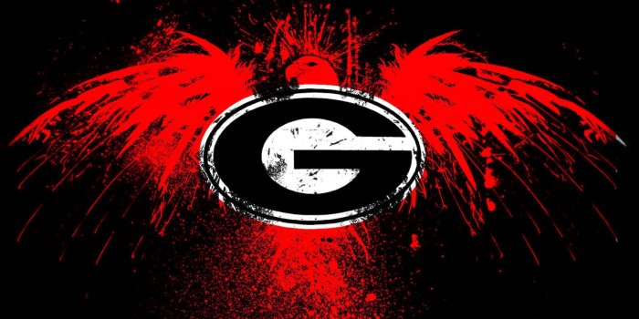 1920x1080 Download Georgia Bulldogs Eagle Wallpaper | Wallpapers.com
