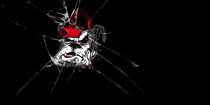 1920x1200 georgia, Bulldogs, College, Football Wallpapers HD / Desktop and Mobile  Backgrounds