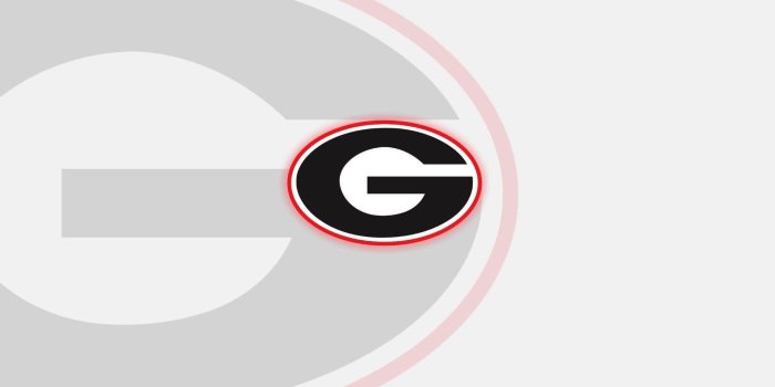 1920x1080 Download Plain Georgia Bulldogs Wallpaper | Wallpapers.com