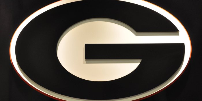 3216x2136 Download Georgia Bulldogs Big Logo Wallpaper | Wallpapers.com