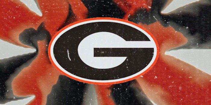 1151x2048 PINTEREST: bnb620 | Georgia bulldogs football, Bulldog wallpaper, Georgia  bulldogs crafts