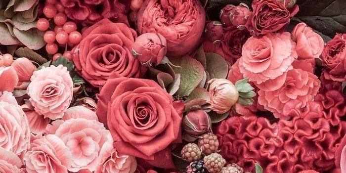 700x1244 Pink Flower Phone Wallpapers - Top Free Pink Flower Phone Backgrounds -  WallpaperAccess