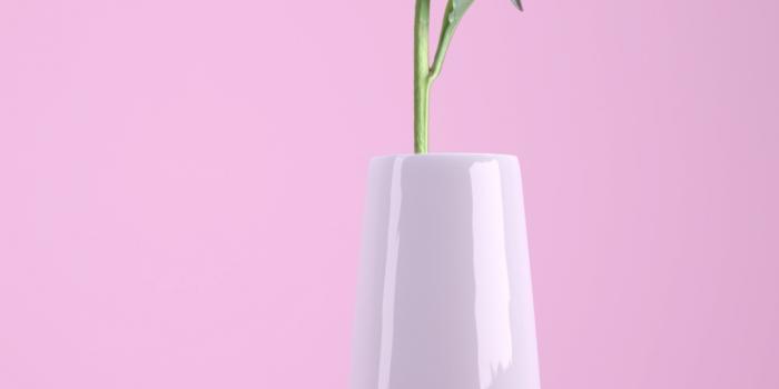 1242x2208 Pink flower Wallpaper 4K, Flower vase, Baby pink, Pink background, Flowers,  #894