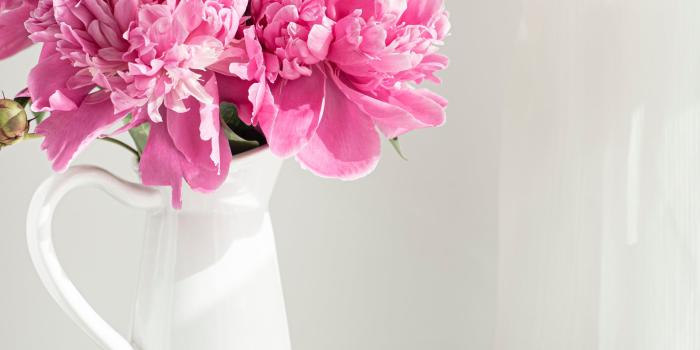 2048x3069 Pink Flowers iPhone Wallpaper | The Dreamiest iPhone Wallpapers For  Valentine's Day That Fit Any Aesthetic | POPSUGAR Tech Photo 41