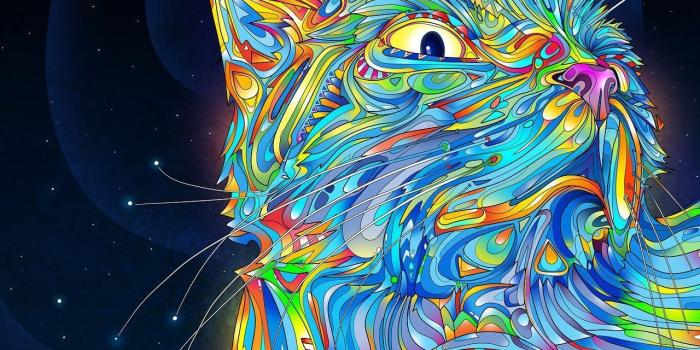 1280x1024 Lsd Cats Wallpapers & Background Beautiful Best Available For Download Lsd  Cats Photos Free On Zicxa.com Images