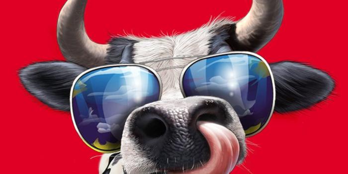 1024x768 Cow Wallpaper - EnWallpaper